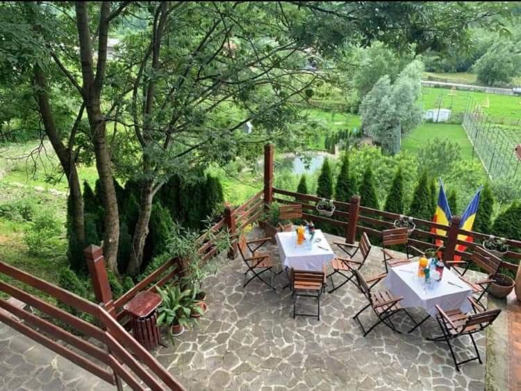 Doftana Apartaments Teşila Extérieur photo