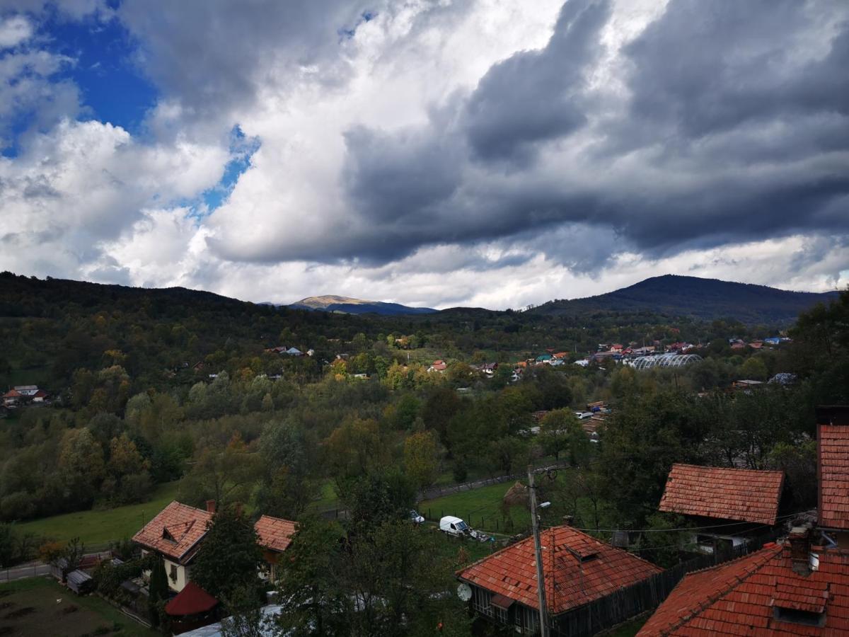Doftana Apartaments Teşila Extérieur photo