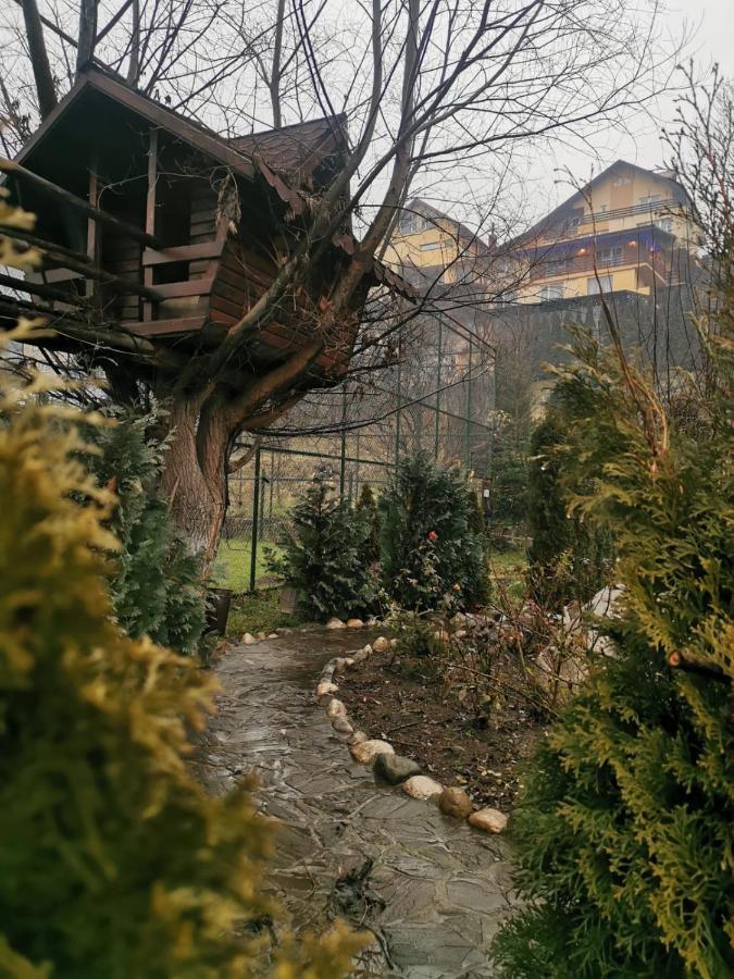 Doftana Apartaments Teşila Extérieur photo