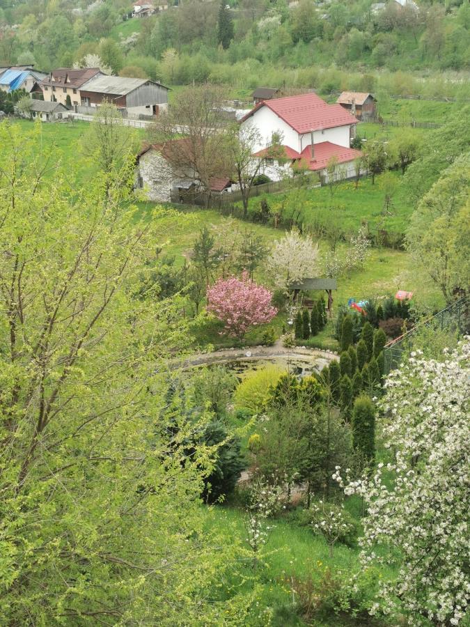Doftana Apartaments Teşila Extérieur photo