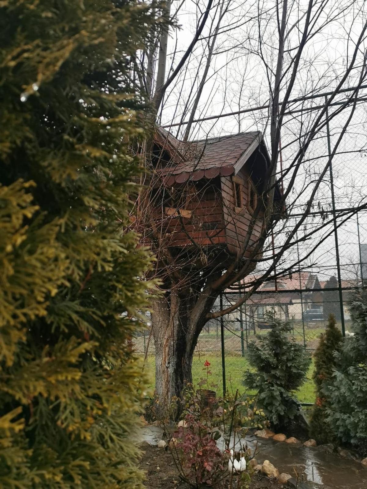 Doftana Apartaments Teşila Chambre photo