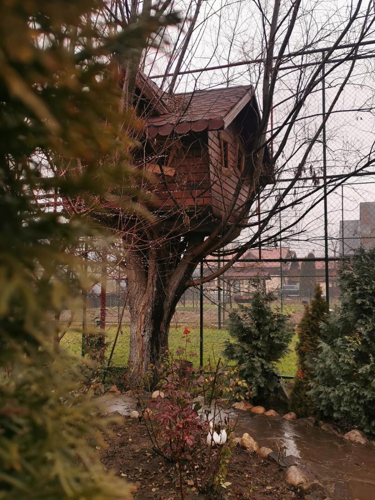 Doftana Apartaments Teşila Chambre photo