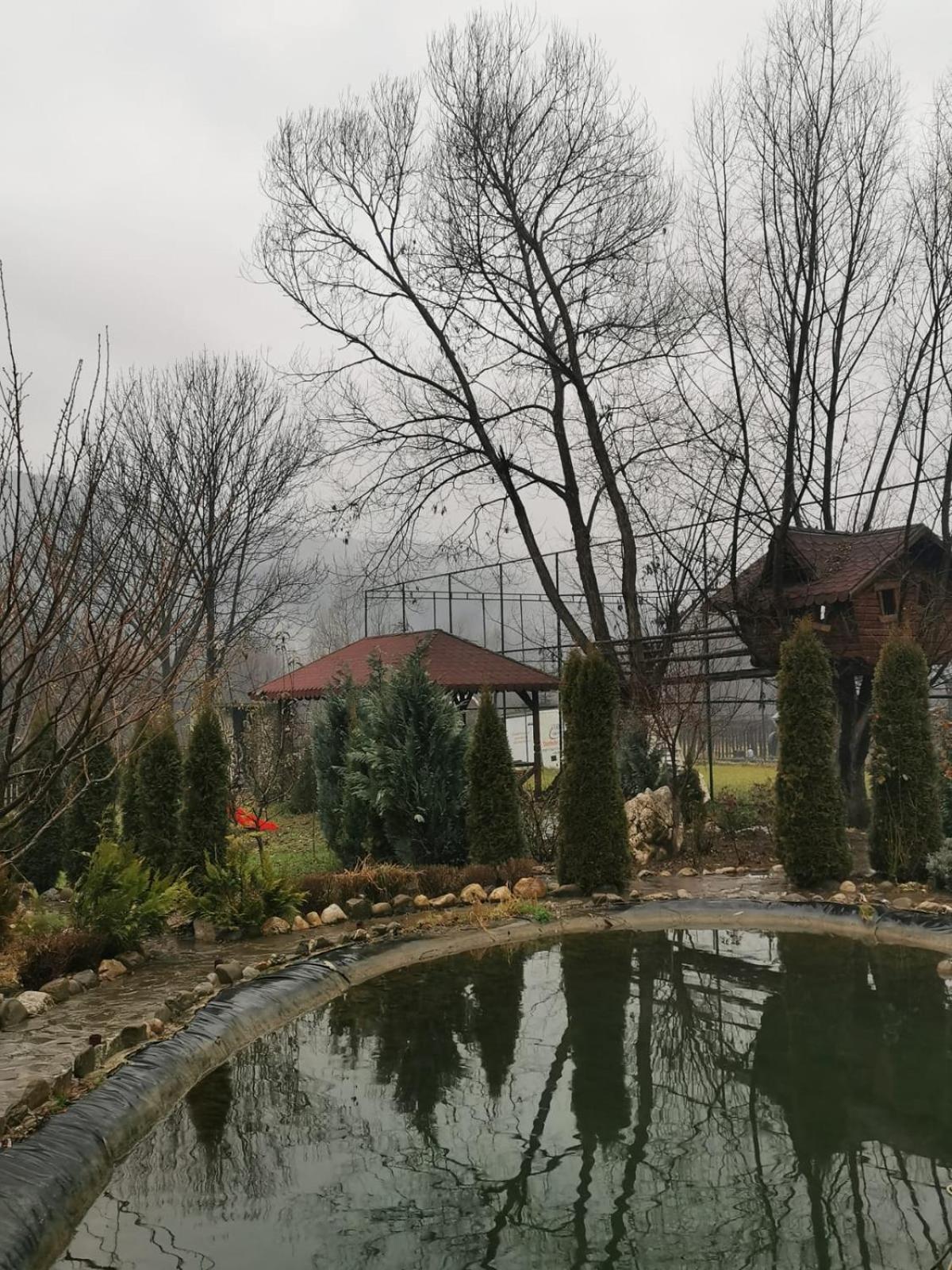 Doftana Apartaments Teşila Chambre photo